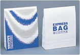 EXPRESS BAG