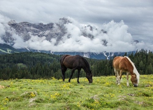 mountain-5092625_640
