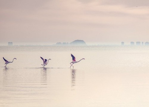 waterscape-5541692_640